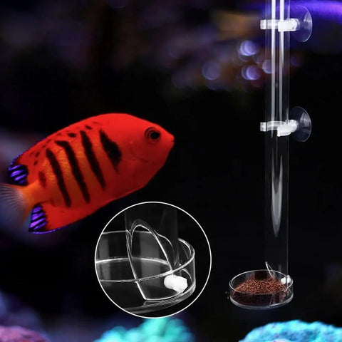 Crisp Acrylic Aquarium Feeder Tray, 9.84 Inch Leak Proof Fish Tank Feeding Tube with suction mount showing fish and pellets.