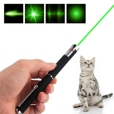 Three Pack Laser Pointer For Cats And Dogs Interactive Pet Toy Set With Red Green And Purple Lights Great For Playtime And Training Requires Two AAA Batteries Not Included shown in use with green laser light and a playful cat