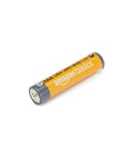 Heavy Duty Aa And Aaa Alkaline Battery Value Pack With 24 Each For Toys Game Controllers Flashlights And Digital Cameras showing a single AAA alkaline battery.