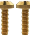 Top Shelf Titanium Bolts Set for Motorcycle and Bicycle Hex Socket Fasteners Gold M8x30 Screws in a row for custom builds.