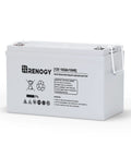 Deep Cycle AGM 12V 100Ah Battery With Low Three Percent Self Discharge And 1100A Max Discharge, Maintenance Free Power