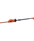 20V Max Cordless Pole Hedge Trimmer With 18-Inch Dual-Action Blade displayed in full length view.