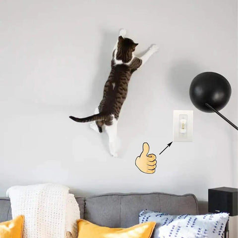 Cat climbing wall near Clear Light Switch Guard 6 Pack Childproof Toggle Switch Cover To Prevent Accidental On Off Fits Standard Switches