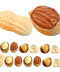 15-Piece Realistic Miniature Nut Set For Dollhouses, Resin Nuts Including Walnut, Peanut And Pistachio, variety view