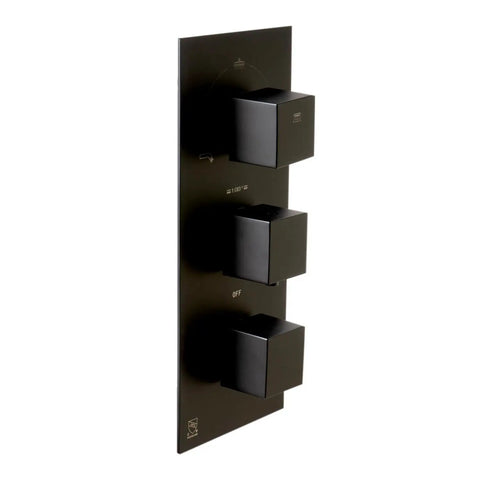 HomeStock Modern Rectangle Thermostatic Shower System Trim Kit with Pressure Balance Valve Matte Black Finish controls panel