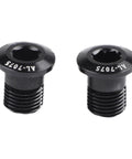 Two Pack Aluminum Derailleur Hanger Bolts M10x1.0 For Rear Derailleurs And Chain Tensioners, Black, Lightweight Alloy