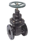 2-1/2 Inch Gate Valve Cast Iron Body Flange Class 200 NRS Non Rising Stem Water Service Valve 200 PSI Operating Pressure For Industrial Plumbing, flanged view