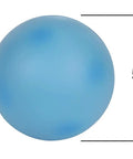 Cross Section Animal Cell Model Kit For Hands On Biology 3D Foam Cell, 5-inch blue sphere, STEM Classroom Tools
