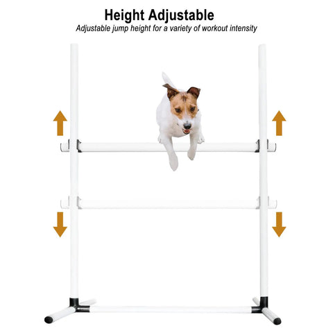 Dog Agility Jump Training Kit With Four Adjustable Hurdles And Storage Bag featuring a dog jumping over adjustable hurdles indoors