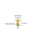 Top Shelf Precision Brass Flat Head Socket Cap Screws M2 X 4mm Inner Hex Drive Fasteners, showing dimensions and details of a brass screw.
