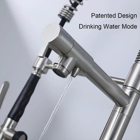 Dope Contemporary Single Handle Kitchen Sink Faucet With Pull Down Sprayer And Pre Rinse Style, water flow feature