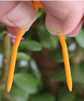 Close-up of orange plastic tips from Set Of 100 Plastic Planting Forks For Strawberries And Grapevines, held between fingers.