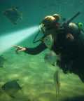 Diver using a Waterproof Diving Headlamp 1200 Lumen Underwater Light For Swimming Camping Hiking Hunting Fishing with fish underwater