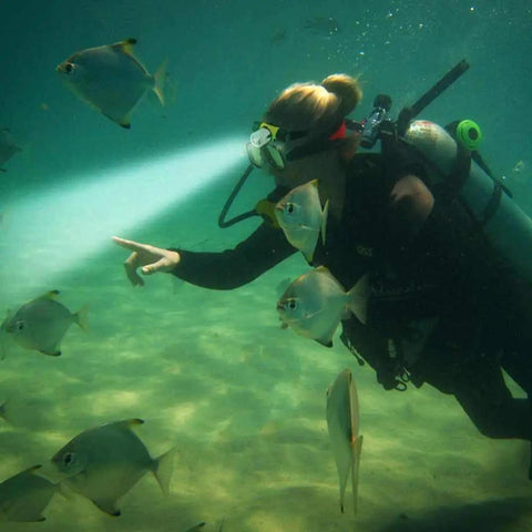 Diver using a Waterproof Diving Headlamp 1200 Lumen Underwater Light For Swimming Camping Hiking Hunting Fishing with fish underwater