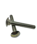 Two stainless steel carriage bolts, each one and one half inch long, part of pack of 10 for building and maintenance hardware kit.