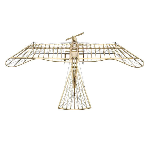 Top view of 3D Wood Puzzle Kit Of Etrich Taube WW1 Vintage Airplane DIY Laser Cut Balsa Build For Adults