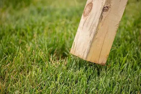 Wooden swing set leg positioned on grass, illustrating use with Playset Anchor Kit For Swing Sets Heavy Duty Ground Anchors That Keep Your Set Rock Solid Stationary And Safer For Outdoor Fun Easy Install Swing Set Hardware To Secure Play Equipment And Protect Your Kids.