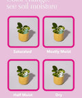 Colorful Paper Based Soil Moisture Meter For Houseplants Five Pack Never Forget To Water Easy To Use Indicator With Color Coded Levels Helps Prevent Overwatering And Keeps Your Indoor Greens Thriving At Glance, showing color stages in potted plant