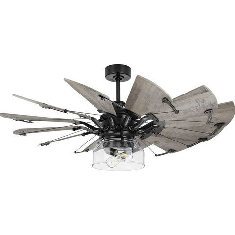 Matte Black Light Kit With Clear Glass Shade For Farmhouse Rustic Coastal Style In Great Rooms And Bedrooms, fan blades visible.