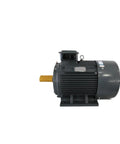 Front view of Beefed Up Heavy Duty Permanent Magnet Synchronous Variable Frequency Drive Motor For Three Phase Servo Systems YYT132M 22KW 3000RPM.