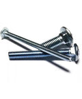 700 Piece Carriage Bolts Set One Quarter Twenty Threads Per Inch By Two And A Half Inch Length 18-8 Stainless Steel Fasteners Kit