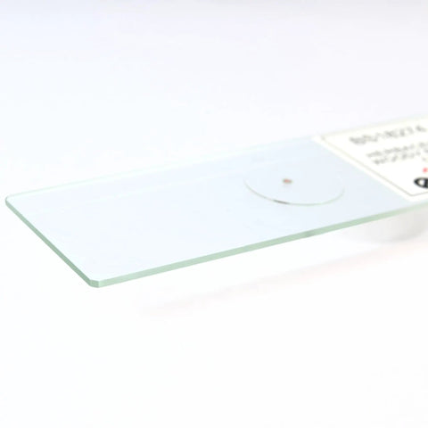 Prepared Herbaceous Root Cross Section Microscope Slide Glass Slide With Stained Plant Tissue Structures For Crystal Clear Root Anatomy Visualization Pro Grade Quality And Easy Magnification, 25 x 77 mm glass slide