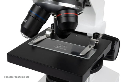 Microscope Calibration Slide With Stage Micrometer 1mm Ruler For Precise Measurement Of Specimens Down To Zero Point One Millimeter Standard 1 By 3 Inch Slide Fits On Most Microscope Stages Super Handy Warranty And Responsive Support. glass calibration slide on microscope stage with 1mm scale