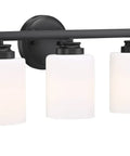 Bolden 3 Light Vanity In Brushed Polished Nickel With White Frosted Glass Shades For Damp Locations Modern Bathroom Light Fixture Requires 3 Medium Base Bulbs Not Included Sleek