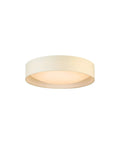Orme 20 Inch Flush Mount LED Ceiling Light Fixture With Dimmable Option For Living Room, White Finish, Modern Design