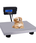 Built Like A Tank 660 Lb Heavy Duty Digital Livestock Scale With Roomy Stainless Platform showing small dog on scale
