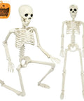 36 Inch Full Body Skeleton Prop With Movable Joints Realistic Plastic Bones in seated and standing positions for Halloween decor
