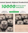 Creality Falcon laser engraver sample: two wooden panels with lion portraits.