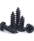 200 Piece Assortment Kit Black Carbon Steel Round Head Cross Drive Self Tapping Screws M1 To M3 Metric Sizes stacked showing detail