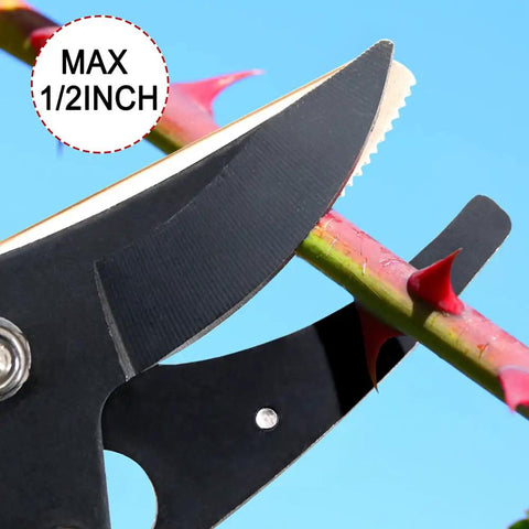 32 Inch Cut And Hold Pruner With Rotating Cutter Head cutting a 1/2 inch thorny branch, close-up on blade detail