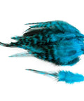 Natural Pheasant Feathers 50 Pcs For DIY Crafts, Fly Tying, Jewelry Making, Lake Blue Dye, Rooster Saddle Style