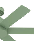 Close-up of Kennicott 44 Inch Indoor Outdoor Ceiling Fan With Wall Control Dusty Green Blades Reversible Multi Speed Whisper Wind Motor