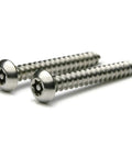 Heavy-Duty Torx With Pin Tamper Proof Security Button Head Sheet Metal Screws, 18-8 Stainless Steel, T25 Drive.