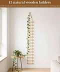 6-Feet Extra Tall Wooden Ladder Plant Trellis For Indoor And Outdoor Use, 15-Section Natural Wood Climbing Support next to plant