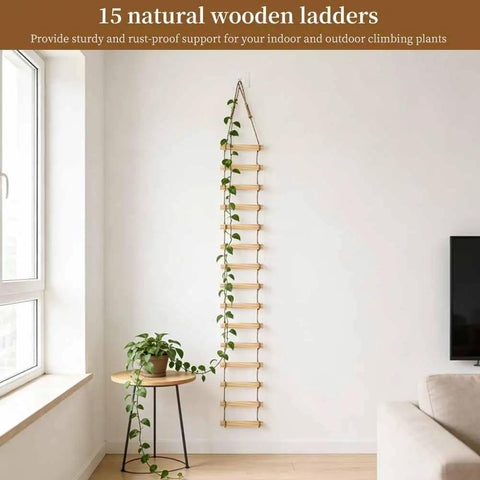6-Feet Extra Tall Wooden Ladder Plant Trellis For Indoor And Outdoor Use, 15-Section Natural Wood Climbing Support next to plant