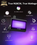 Two Pack 20W Smart LED Flood Lights With RGBCW 2700K-6500K Dimmable Outdoor Stage Lighting IP66 Waterproof Wall Washer, 2000 Lumens, WiFi Enabled, Works With Alexa, Multicolor Flood Lamps shown with lighting features.