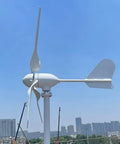 1000W Wind Turbine For Off Grid Homes And RVs 12V 24V 48V System Horizontal Axis Wind Generator With MPPT Controller