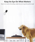 Two Pack 1080P Indoor Security Cams With Night Vision, mounted on wall monitoring a dog, 2 Way Audio, Alexa Compatible Baby Monitor