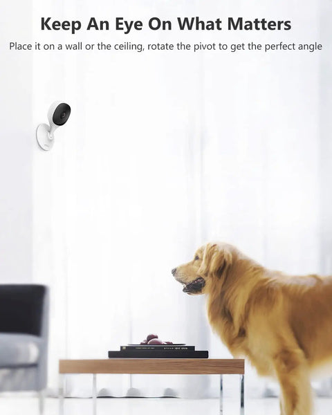 Two Pack 1080P Indoor Security Cams With Night Vision, mounted on wall monitoring a dog, 2 Way Audio, Alexa Compatible Baby Monitor