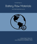 Battery Raw Materials Market Analysis 2023 Global World Market Report With City Level Segmentation And A 499 Page Deep Dive