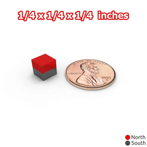 Super Badass N48 Neodymium Cube Magnets 1/4 Inch 6Mm Size beside a penny for size reference.