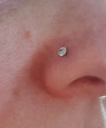 Close-up of a nose with a flat back earring, showcasing use of Threadless Piercing Tapers Set Go To For Changing And Insertion Tools 16G 18G 20G.