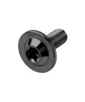 Premium Titanium Torx Head M6 Bolts Set For Bikes Motorcycles And Cars With 10mm 15mm And 20mm Lengths Black Pack Of Six Beefed Up Modding Hardware T30 Torx showcasing single black bolt