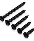 Pro Grade Phillips Pan Head Self Tapping Screws, Black Coated 304 Stainless Steel, 5 sizes for wood or sheet metal.