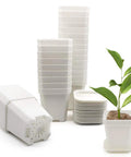 30 Pack 3 Inch White Square Nursery Pots With Drain Holes And Saucers For Seed Starting And Seedlings Thick Plastic Plant Pots