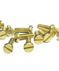 Top Shelf Yellow Brass M1.0 X 6mm Slotted Cheese Head Machine Screws 50 Pack Hardcore Hardware Fasteners, close-up view of screws.